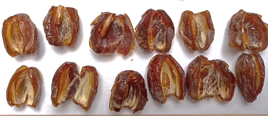 medjool dates open Many medjoul dates cut open